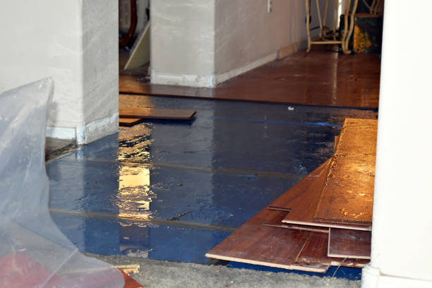 Professional Basement Flood Cleanup technician working in Shelby, MS